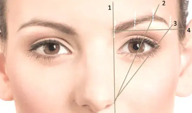 sourcils_parfaits